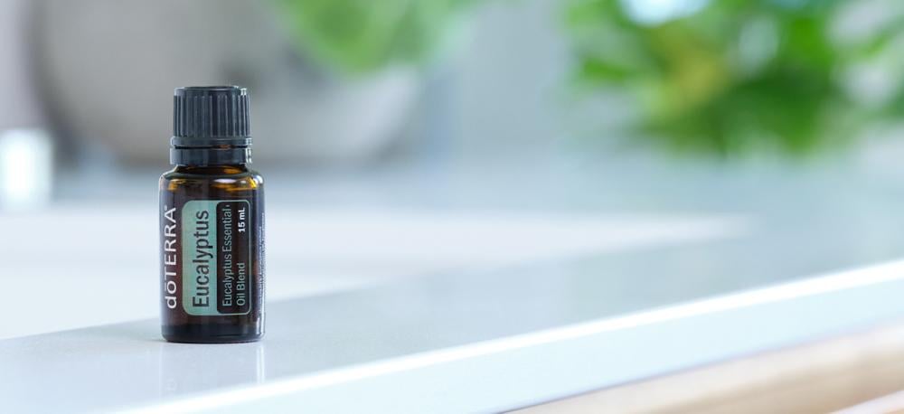 زيت شجرة الكينا “Eucalyptus” (صافي 15مل، مُركز، عضوي، زرع في البلد الأصلي) - Image 9