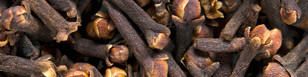 زيوت “المناعة” | مزيج عطري وقائي (صافي، عضوي) - Image 7