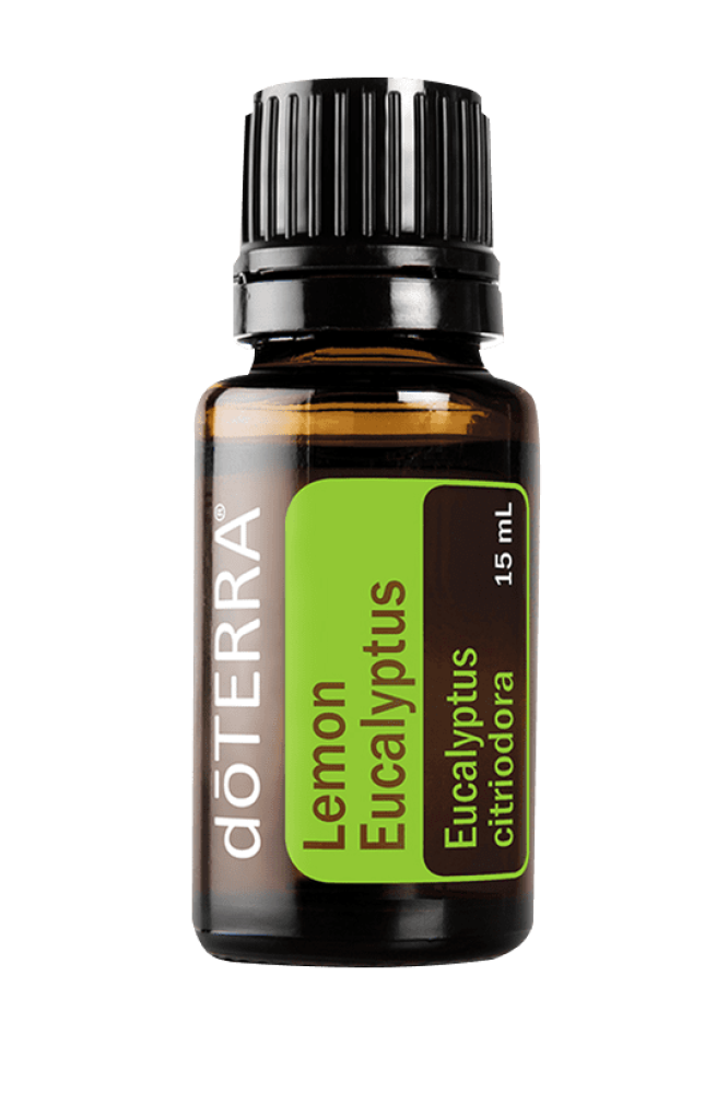 زيت الكافور الليموني “Lemon Eucalyptus” (مُركز، صافي، عضوي)