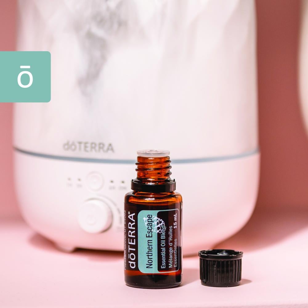 زيوت قمة الشمال "Northern Escape" | مزيج عطري منعش وملهم (صافي 15مل، مُركز، عضوي، زرع في البلد الأصلي) - Image 7