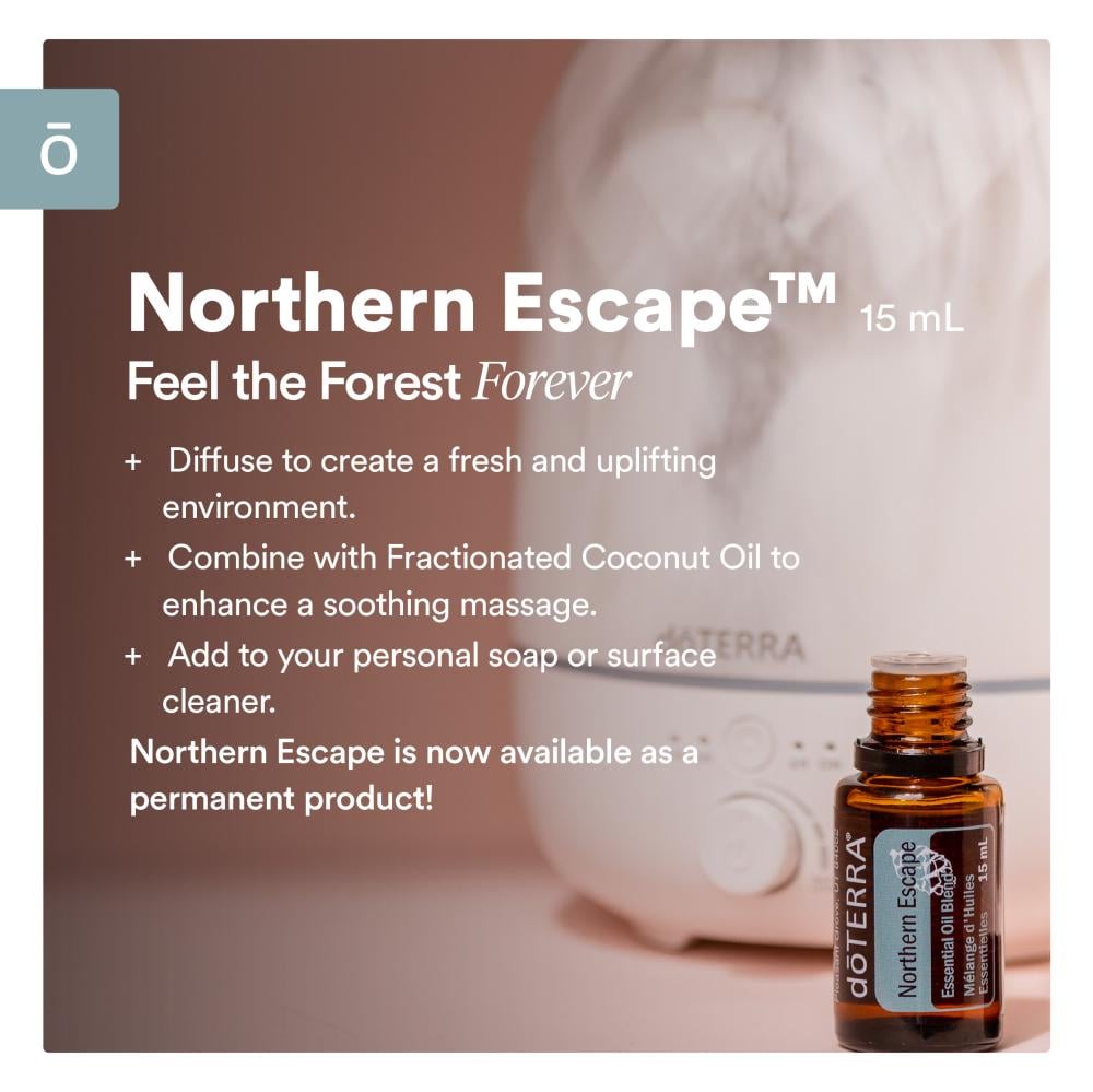 زيوت قمة الشمال "Northern Escape" | مزيج عطري منعش وملهم (صافي 15مل، مُركز، عضوي، زرع في البلد الأصلي) - Image 3