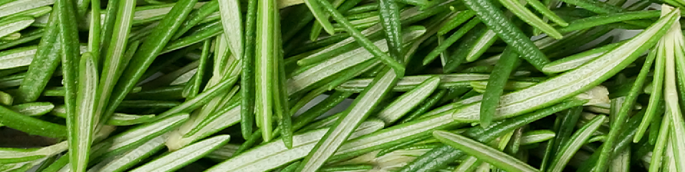 زيوت “المناعة” | مزيج عطري وقائي (صافي، عضوي) - Image 5