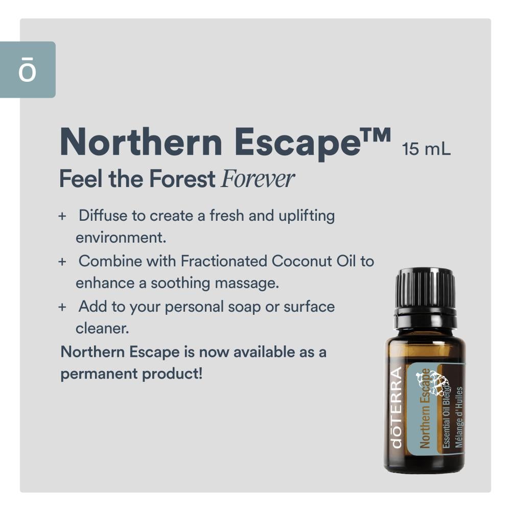 زيوت قمة الشمال "Northern Escape" | مزيج عطري منعش وملهم (صافي 15مل، مُركز، عضوي، زرع في البلد الأصلي) - Image 5