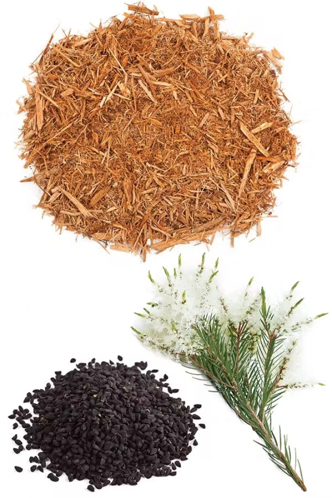 الصفاء "HD Clear" | مزيج زيوت لحل مشاكل البشرة ويعزز صفائها (رول أون 10مل، عضوي، صافي مع جوز الهند) - Image 2