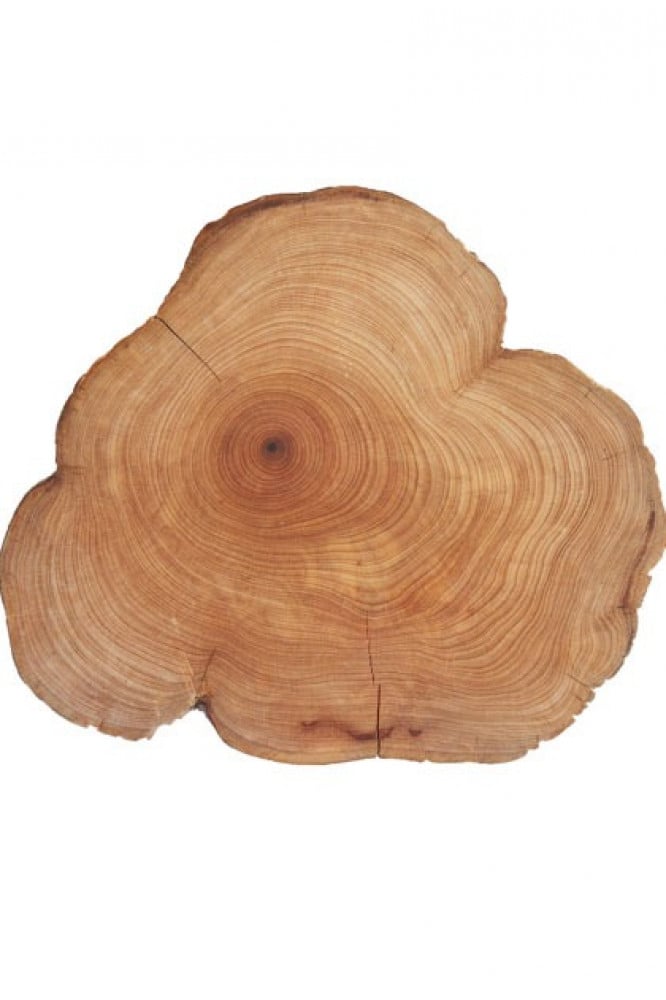 زيت خشب الأرز “Cedarwood” (صافي 15مل، مُركز، عضوي، زرع في البلد الأصلي) - Image 2