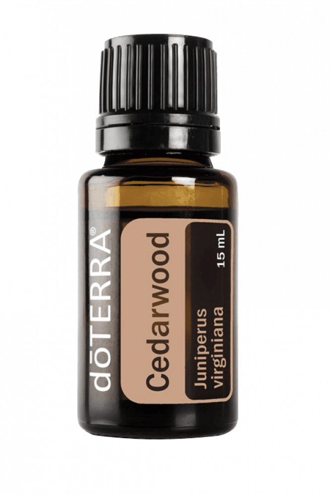 زيت خشب الأرز “Cedarwood” (صافي 15مل، مُركز، عضوي، زرع في البلد الأصلي)