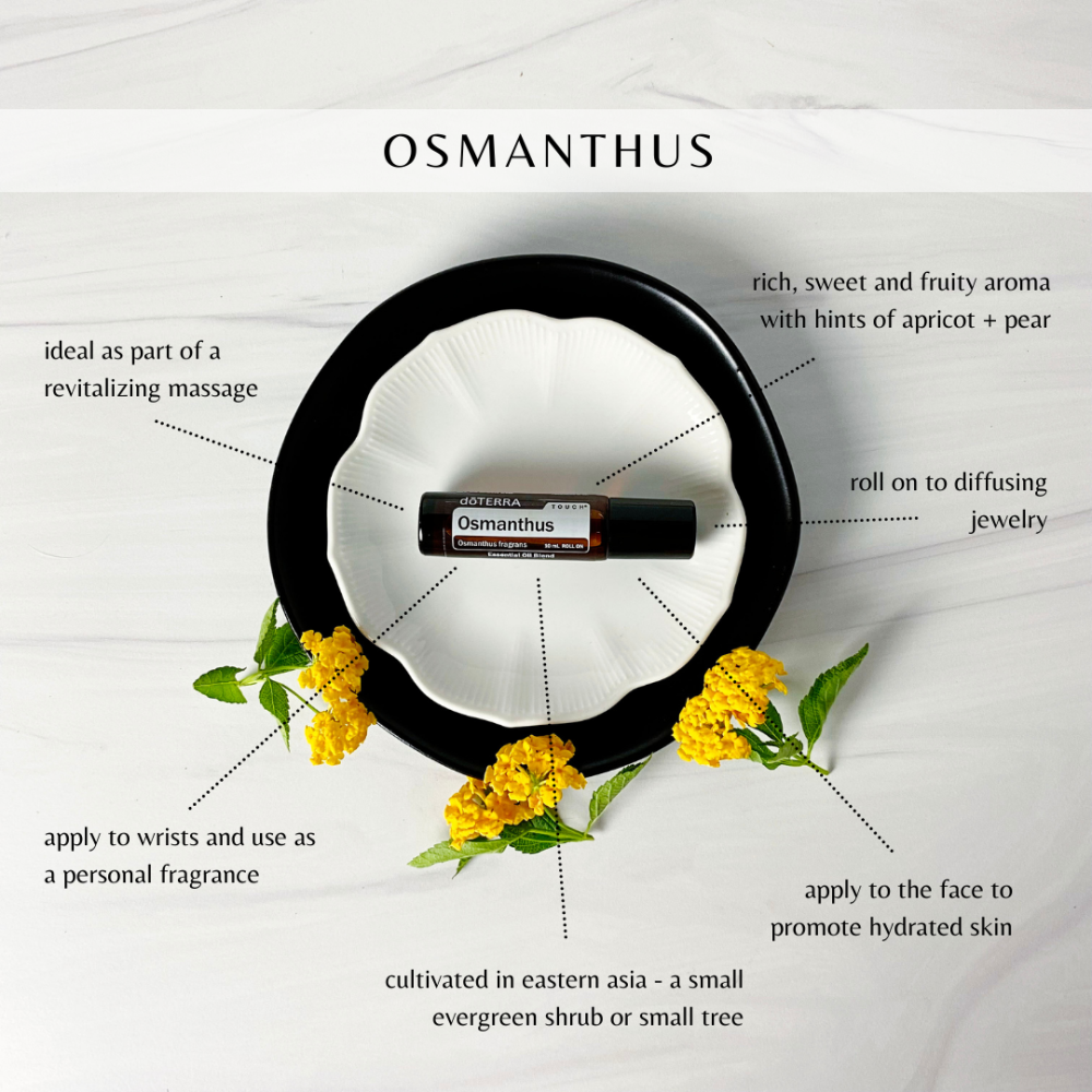 زيت أوسمانثوس “Osmanthus” (رول أون 10مل، عضوي، صافي مع جوز الهند) - Image 4