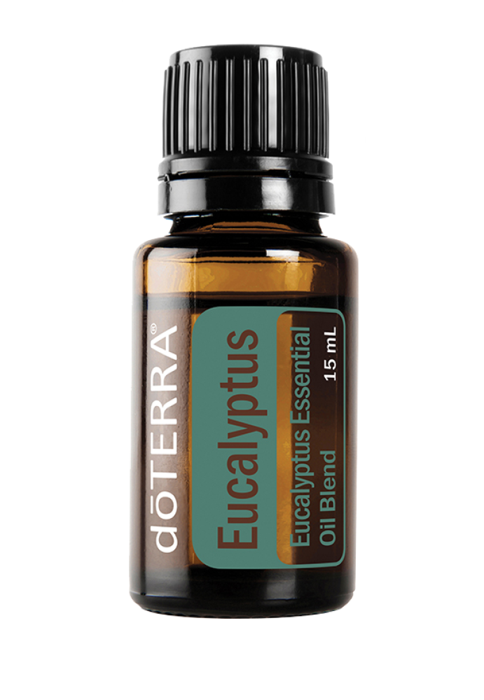 زيت شجرة الكينا “Eucalyptus” (صافي 15مل، مُركز، عضوي، زرع في البلد الأصلي)