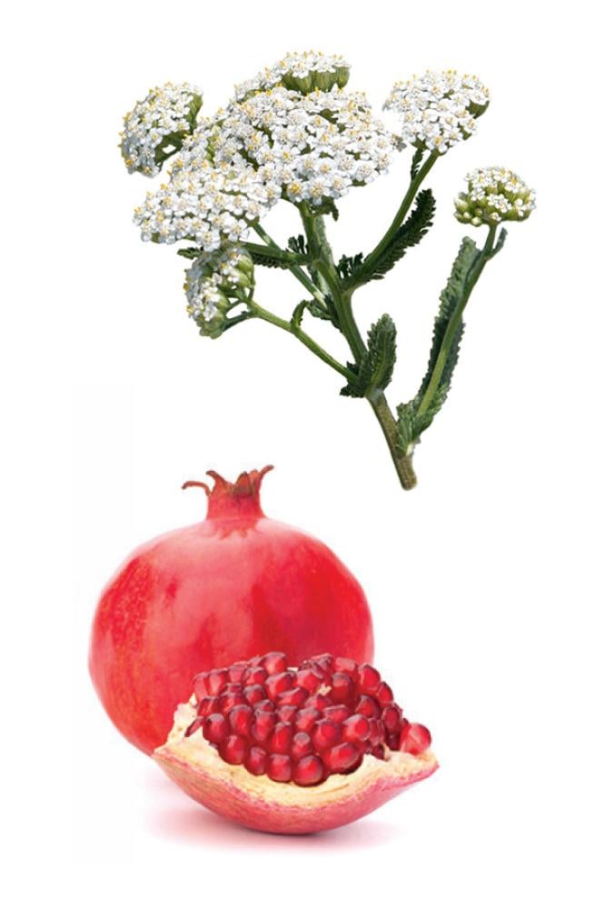 زيت القيصوم (الحزنبل) و الرمان (سيروم لتجديد بشرة الجسم) - Image 2