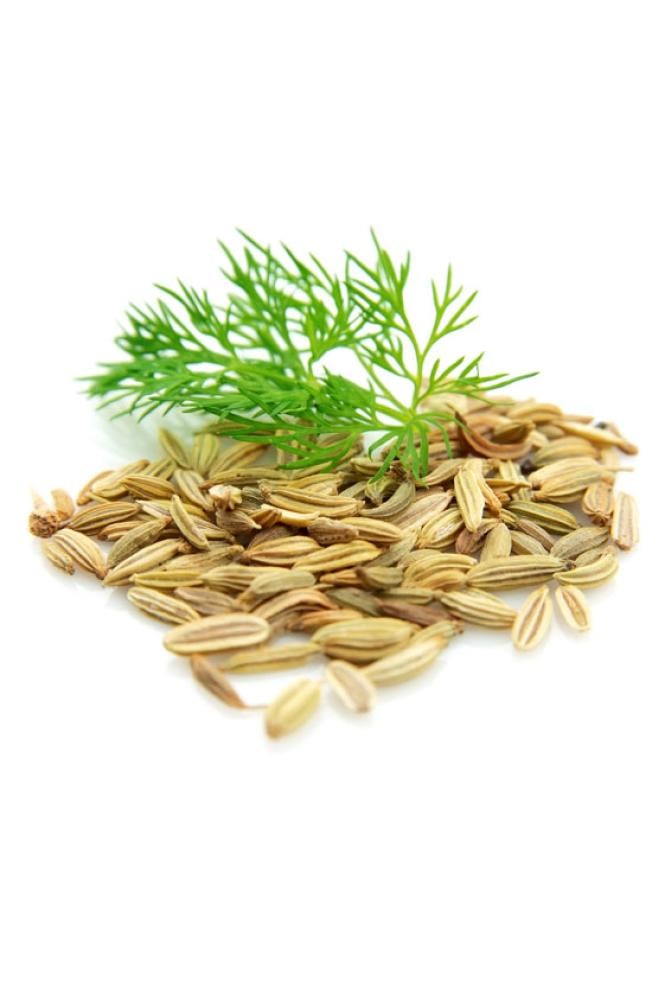 زيت الشمر "Fennel" (صافي 15مل، مُركز، عضوي، زرع في البلد الأصلي) - Image 2