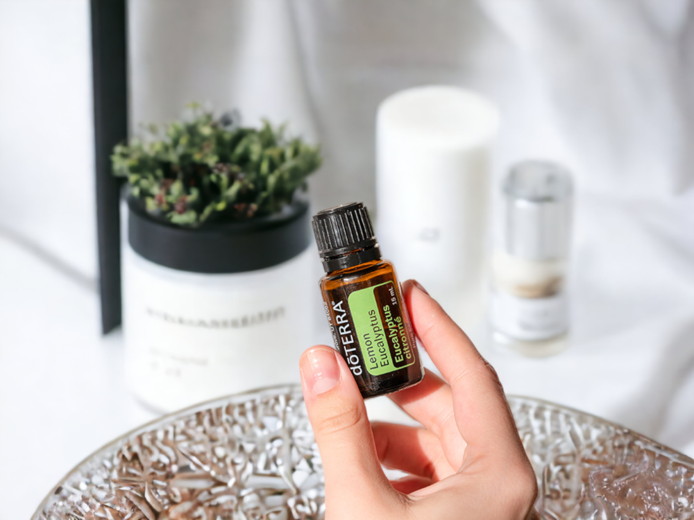 زيت الكافور الليموني “Lemon Eucalyptus” (مُركز، صافي، عضوي) - Image 3