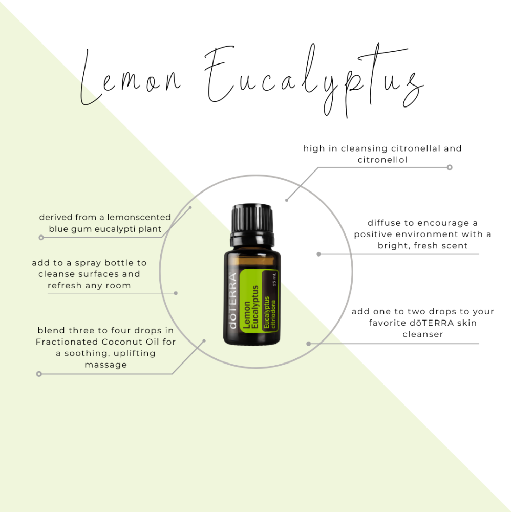 زيت الكافور الليموني “Lemon Eucalyptus” (مُركز، صافي، عضوي) - Image 5