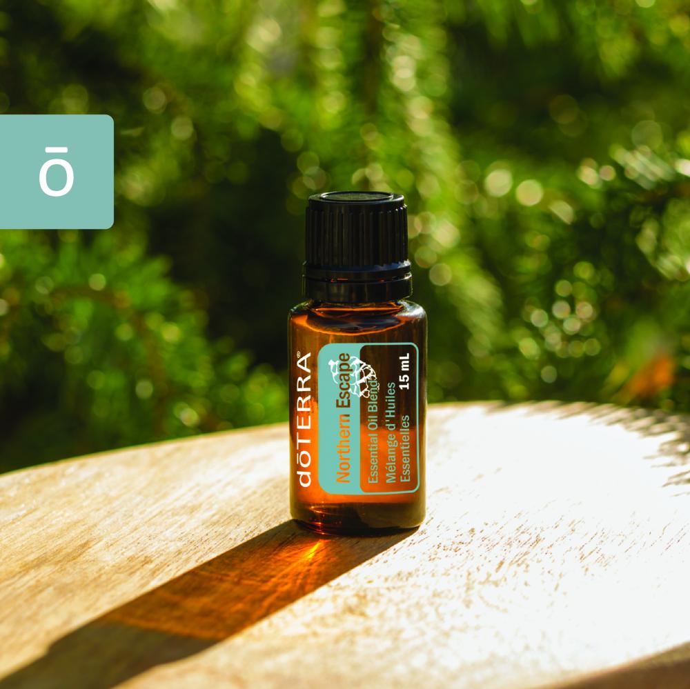 زيوت قمة الشمال "Northern Escape" | مزيج عطري منعش وملهم (صافي 15مل، مُركز، عضوي، زرع في البلد الأصلي) - Image 2