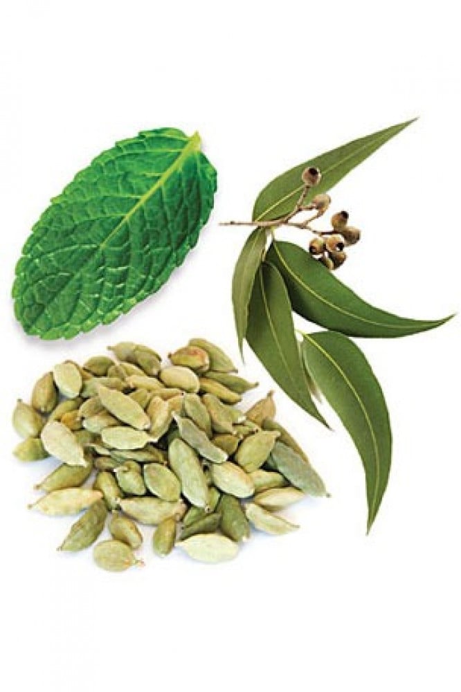 التنفس "Breathe" | مزيج زيوت لدعم الجهاز التنفسي (رول أون 10مل، عضوي، صافي مع جوز الهند) - Image 2